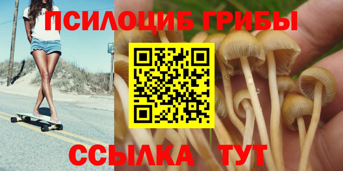 Псилоцибиновые грибы Cubensis  Псилоцибиновые грибы прущие грибы  Урус-Мартан  Вход с VPN 
